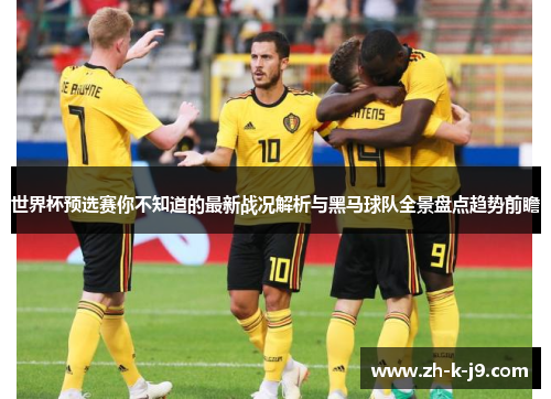 世界杯预选赛你不知道的最新战况解析与黑马球队全景盘点趋势前瞻
